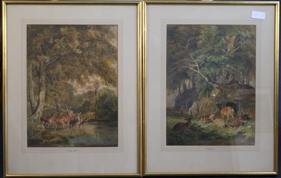 Robert Hills (1769-1844) Deer in Windsor Park 17.5 x 13in.